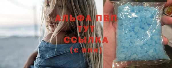индика Балахна