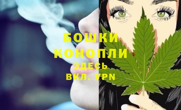 индика Балахна