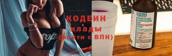 индика Балахна