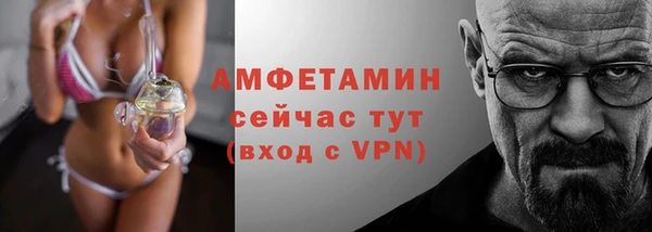 индика Балахна
