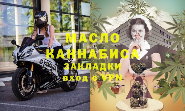 индика Балахна