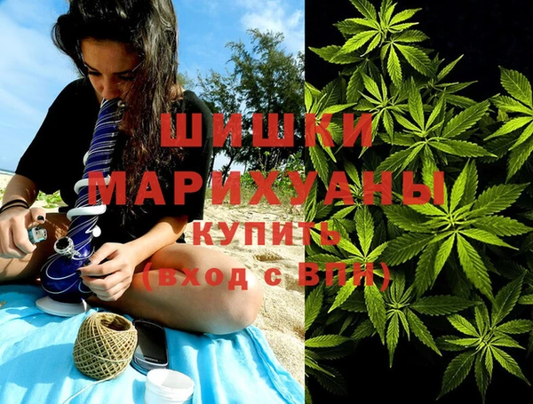 индика Балахна