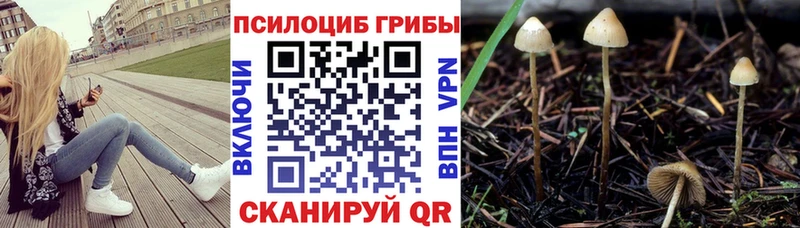 Галлюциногенные грибы MAGIC MUSHROOMS площадка формула Пойковский МЕГА ONION