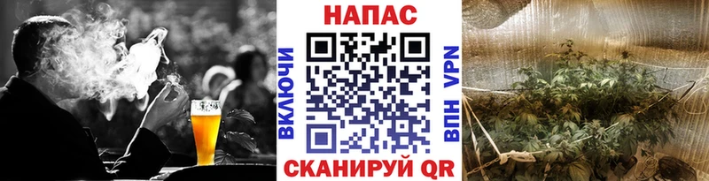 Бошки Шишки MAZAR Пойковский